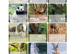 2022年放假安排出炉！五一连休5天图片