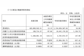 三季度只赚了10万！11连板的“凤凰”还能飞吗？股民：明天开始数跌停板图片