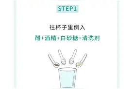 家里凭空冒出来的小飞虫是啥？到底怎么弄死？图片