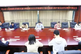 灵山县人民检察院组织召开贯彻落实廖庆峰检察长在全市检察机关新任检察长集体谈话会上的讲话精神专题会议图片