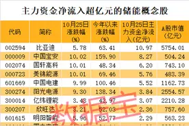 聪明资金持仓“宁王”首次破千亿，储能概念掀起涨停潮！社保基金最痴情股出炉，最长坚守22个季度图片