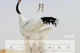 2022年假期日历全在这儿了，快收藏图片