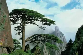 五世同堂图片