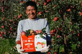 大凉山深处的亿级产业，盐源丑苹果如何成为“网红苹果”？图片