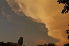 出差提前回家，有个男人夺路而逃，老婆哭了：我是被逼的图片