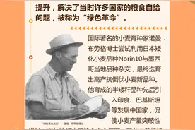 居然不想长高？一图读懂小麦为什么追求矮化图片