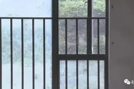 开窗见坟！柳州一小区惊现“墓景房”，开发商回应图片