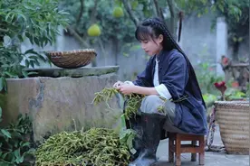 李子柒公司起诉MCN机构微念视频封面