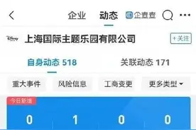上海迪士尼又被罚，这回是20万图片