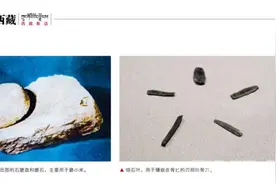 “百年百大考古发现”西藏唯一入选项背后隐藏了什么故事？图片