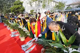 从今以后，看到海就想起你！30年来青岛海葬24544位故人图片