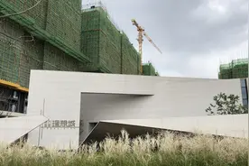 新力控股危机调查：楼盘停售业务瘫痪，员工急寻出路图片