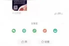 副总豪言“市值没500亿切腹谢罪”，诺德股份：不代表公司立场图片
