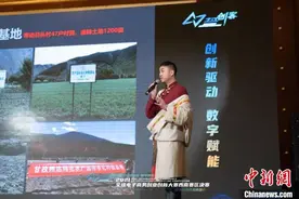 “电商版”东西部合作：全球电子商务创业创新大赛首设西南赛区图片