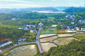 清溪村里忆立波图片