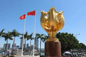 香港中小学升旗仪式比例创新高图片