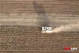 宁阳千亩大豆育种基地喜获丰收 为大豆装上“中国芯”图片