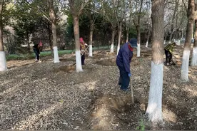 调查｜退而不休，“银发族”选择再就业，这些方面要留心图片