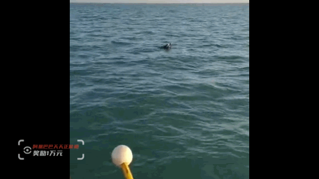 茫茫大海上有艘无人小船，不对劲…五位渔民搜救一小时，救了海钓大爷一命图片