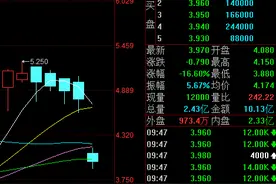 宇华教育大跌逾14%，拟折让12%配售2.22亿股转型高职学院图片