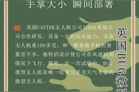 图说微型军用无人机：身形虽小 能力却大图片