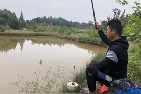 回乡下和老婆过瘾，白嫩的小手居然敢挖蚯蚓挂蚯蚓作钓，狂拉鲫鱼图片