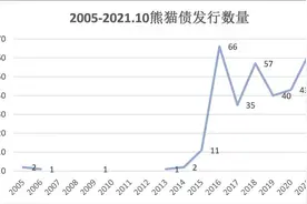 年内已发行62只熊猫债 规模同比上涨57.49%图片