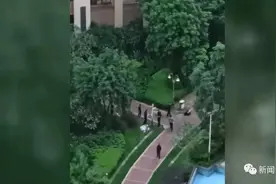 痛心！南宁一名四岁小孩独自在家坠楼身亡图片