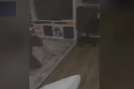 美国女子戴猫脸面具趴在地上 吓得两只宠物猫拔腿就跑图片