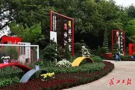今起三天，武汉持续晴好，偶有小雨来降尘图片