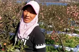 山东大姐热情给旅客塞苹果：咱山东人就是这么热情视频封面
