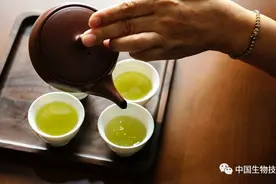 颠覆认知：绿茶不抗氧化！那它是怎样促进健康并延缓衰老的？图片