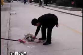 网传山西长治学院有人打狗，校方：不属实，已将流浪狗送往收容基地图片