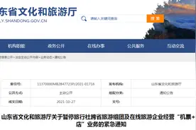 启动“熔断”机制！山东暂停跨省游图片