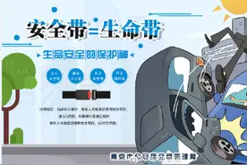 南京11月起后排乘车人不系安全带将被处罚图片
