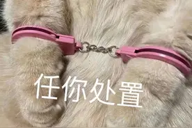 下下下下下下下下周就要过年了图片