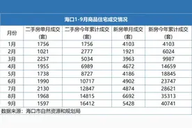 海口房价持续上涨16个月，二手房价格高企房东仍在观望图片