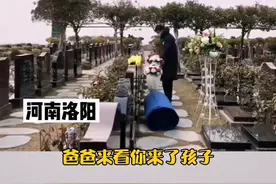 8岁女儿患病离世，爸爸辞职到陵园上班日日陪伴视频封面