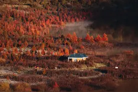 四川乐山：深秋金口河 绝美山水画图片