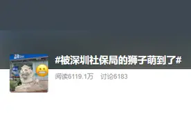 谁家的萌狮子把深圳带上了热搜？背后的故事来了......图片