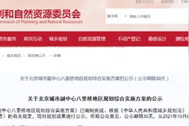 八里桥片区大开发！94.2公顷规划方案公示！金融区、永顺站微中心……提前揭秘图片