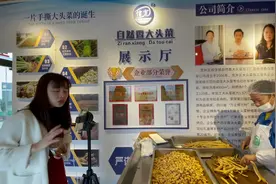 成佳大头菜：从儿时记忆到“网红”美食图片