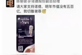 诺德股份副总“五百亿市值”造势付惨重代价 上交所警示、公司内部处罚加身图片
