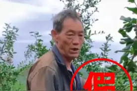 如今不够惨，都不敢出来卖水果了图片