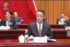 崇明区工商业联合会（总商会)第二次代表大会举行视频封面