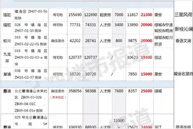 宁波集中供地“开花结果”，第一个新盘入市图片