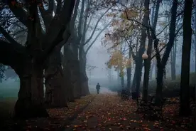 周国平：独处，最能检验一个人灵魂的深度图片