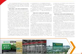 虞城县乡村振兴的步子快起来图片