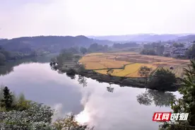 “两区两县”巡西河 山水田园助振兴图片