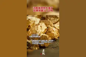 河南发现特大型金矿，初步估算获得金储量31.55吨图片